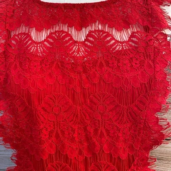Red Lace Overlay Bodycon Dress (Size L) - Picture 3 of 7